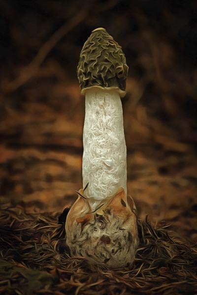 tantric massage lingam